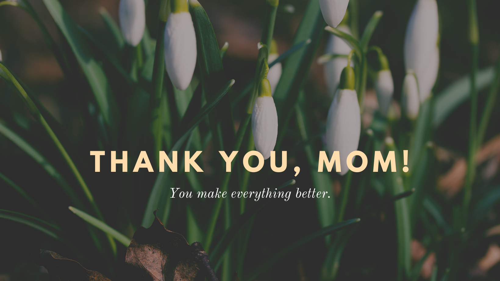 Read more about the article Sentimentality