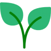 plant plant